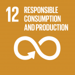 SDG logo 12