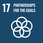 SDG logo 17