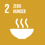 SDG logo 2
