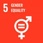 SDG logo 5