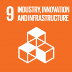 SDG logo 9